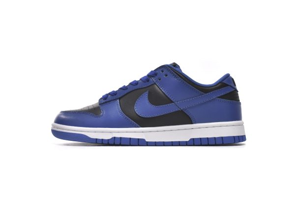 Nike Sb Dunk BLACK AND BLUE