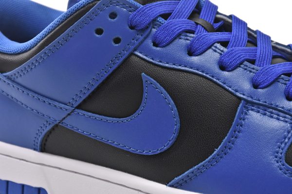 Nike Sb Dunk BLACK AND BLUE